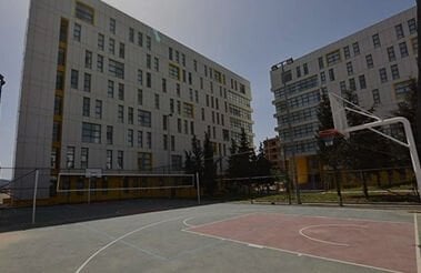 {{ macro_global('banner', 194) }}