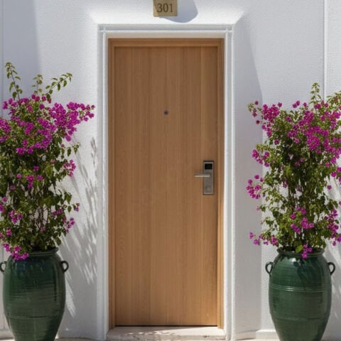 EI30S-G Papel Frake Yangına Dayanıklı Ahşap Kapı