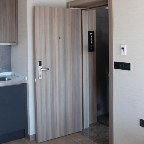 EI30-S Laminat  Kapı