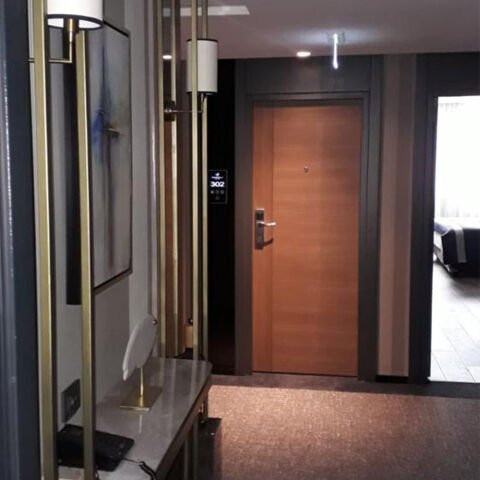 EI30-S Laminat Kapı